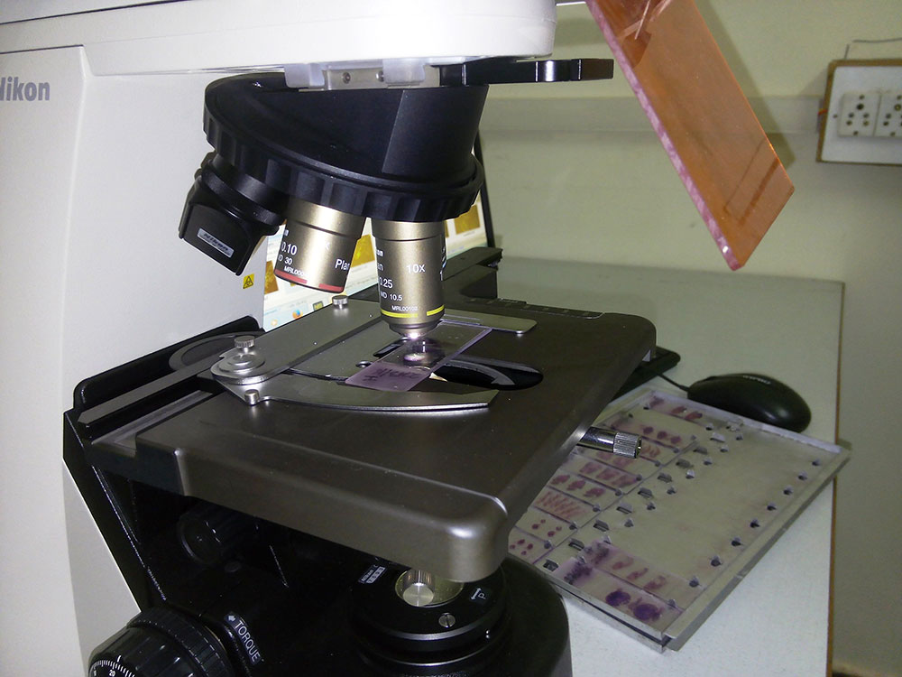 Maitri Diagnostic lab - blood test Equipment